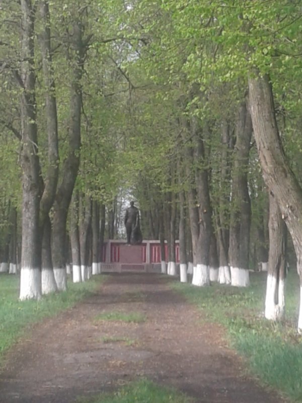 photo-0