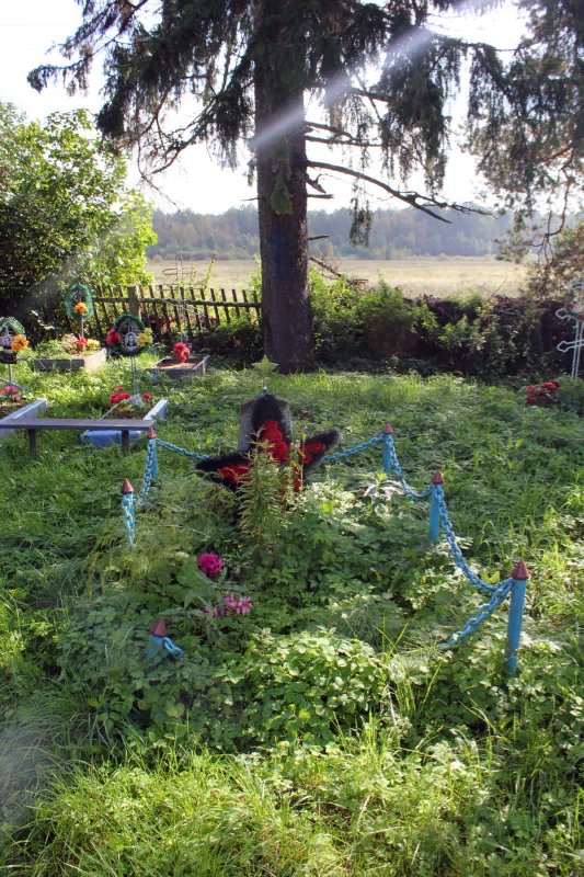 photo-2
