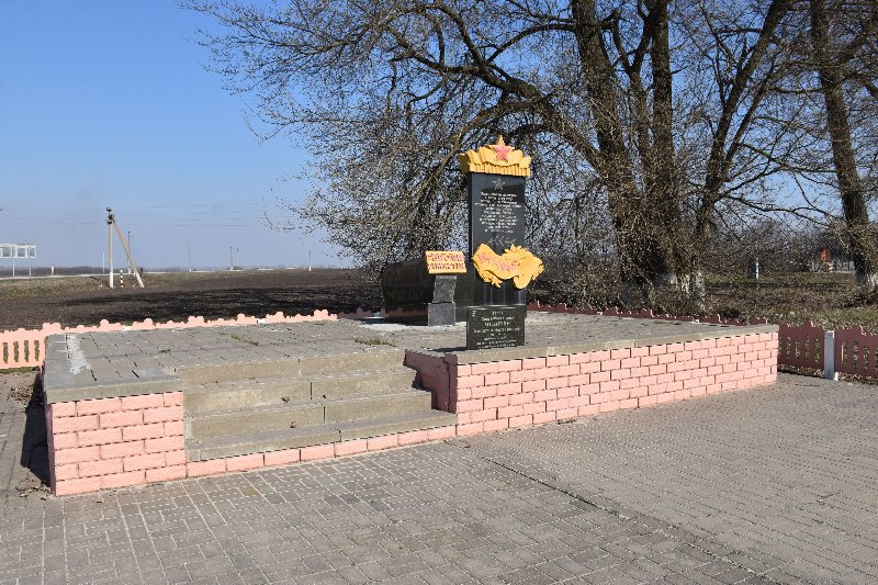 photo-3