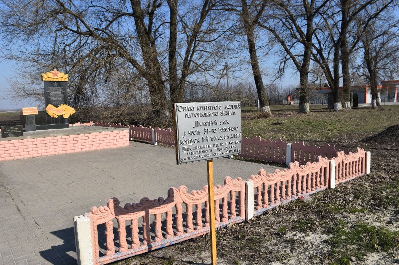 photo-1
