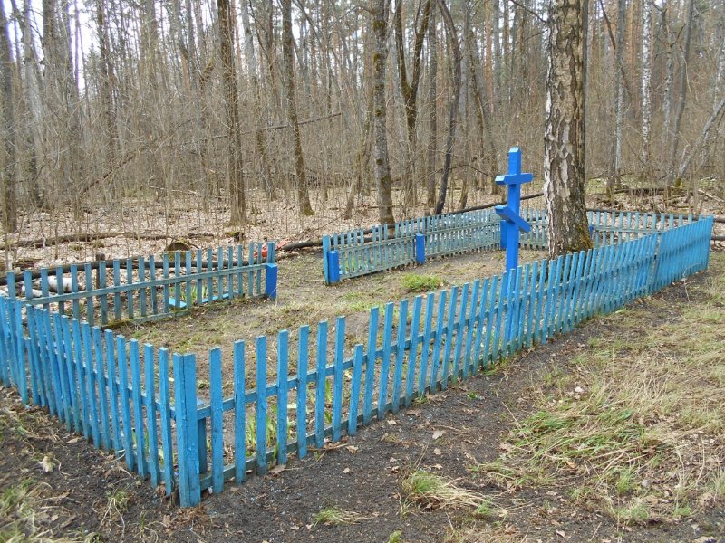 photo-0