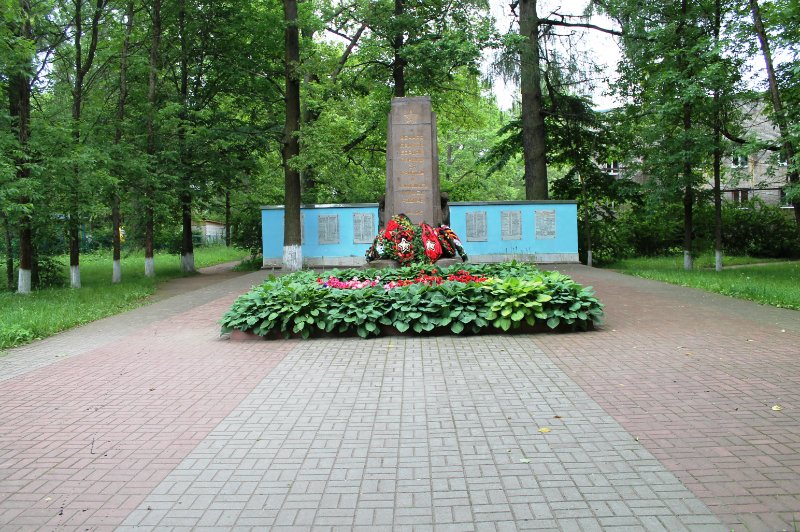 photo-1