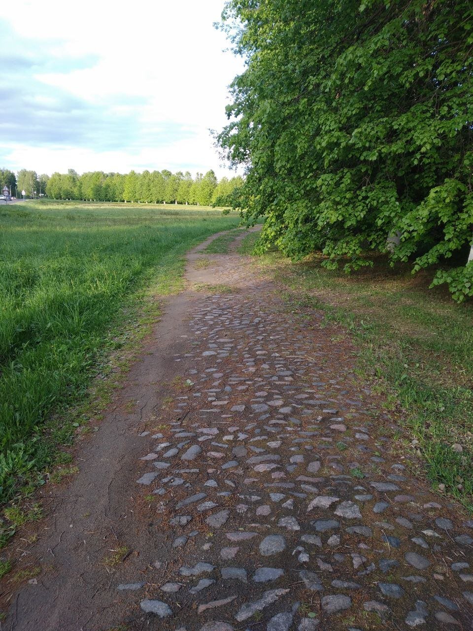 photo-8