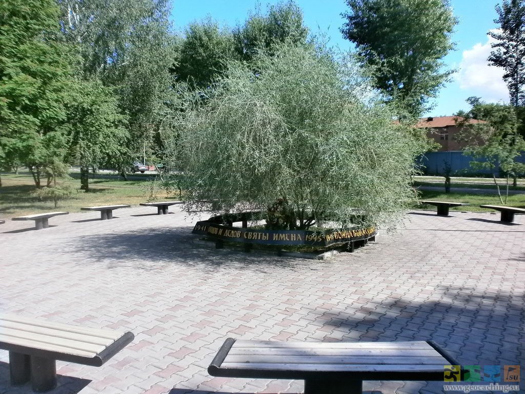 photo-0