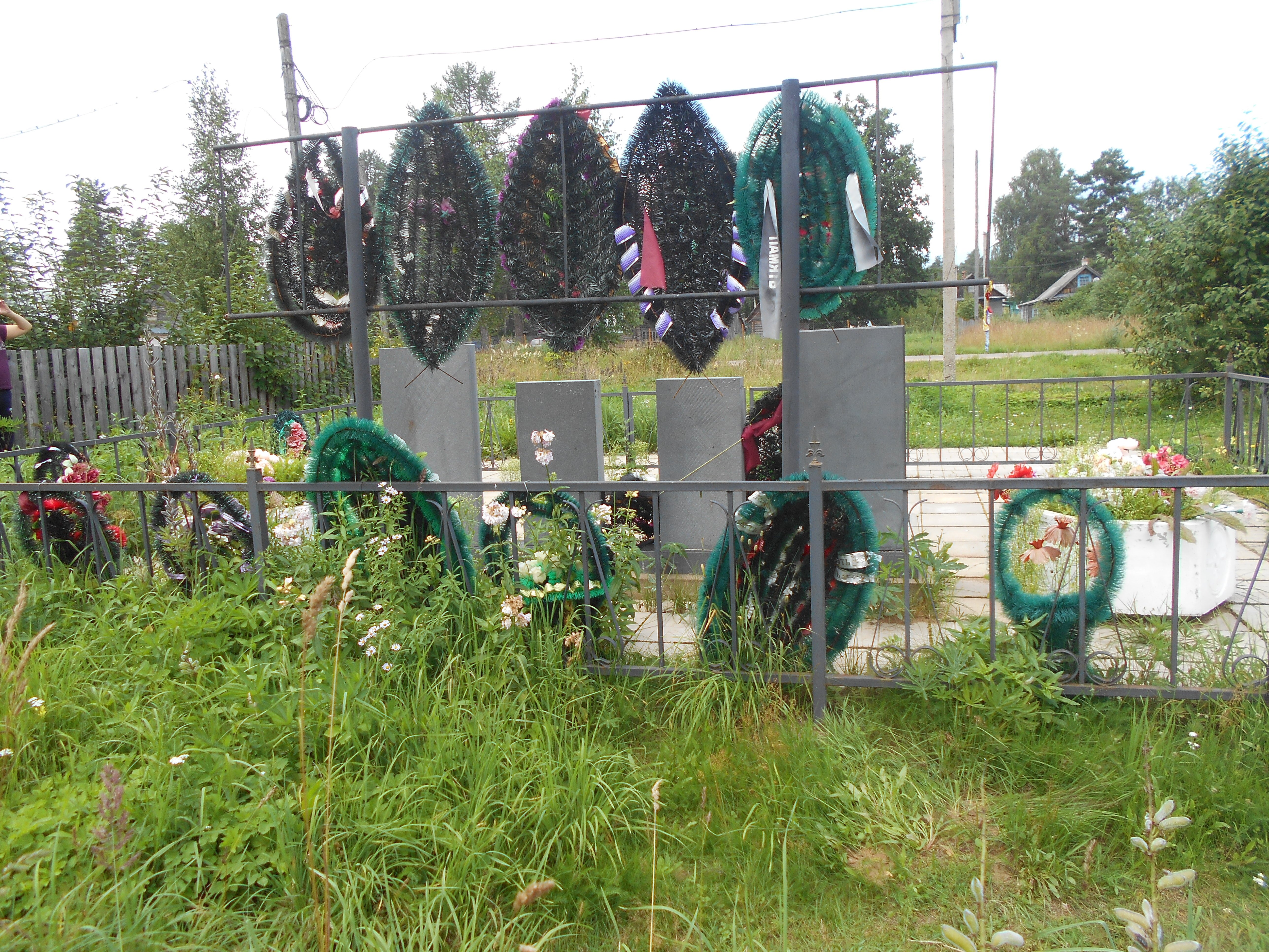 photo-3