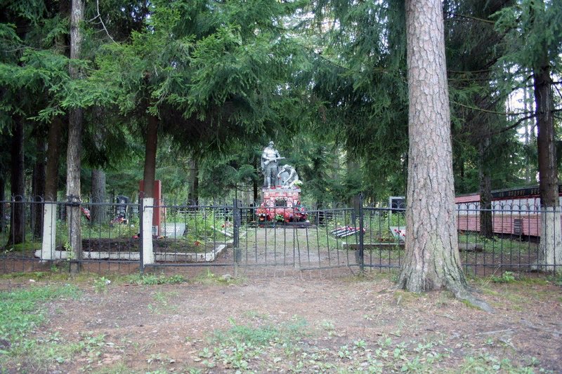 photo-8