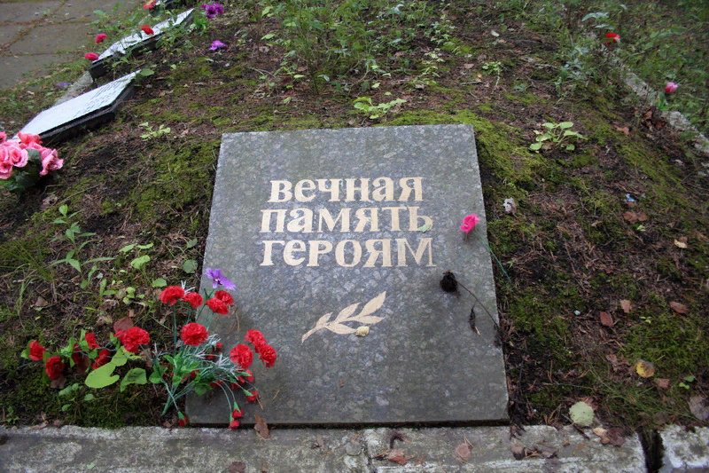 photo-1