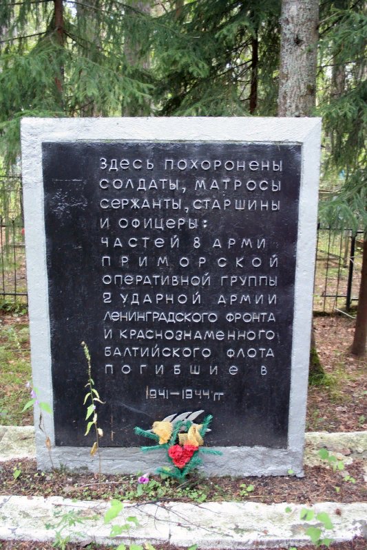 photo-6