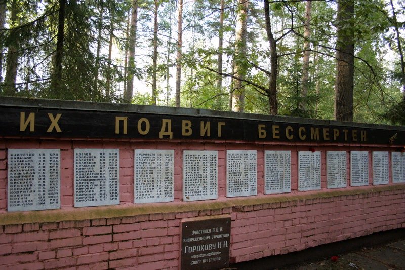 photo-7