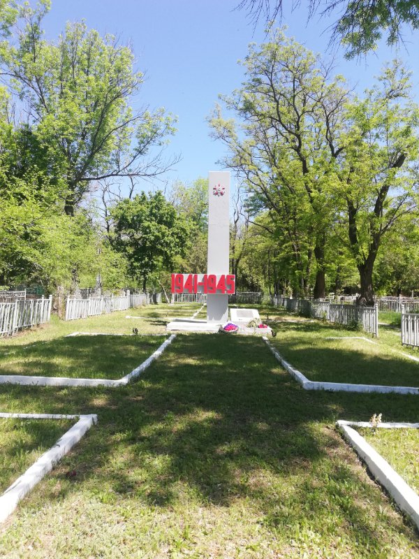 photo-1
