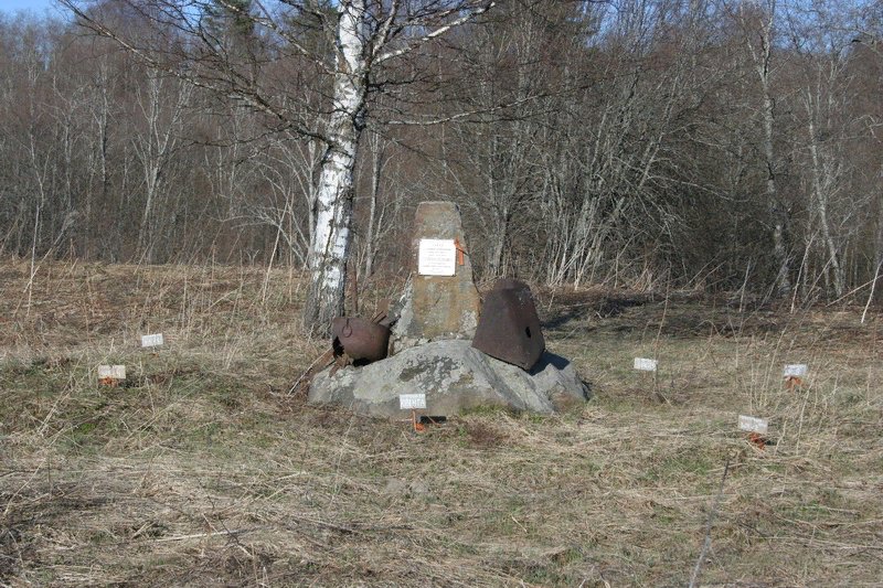 photo-1