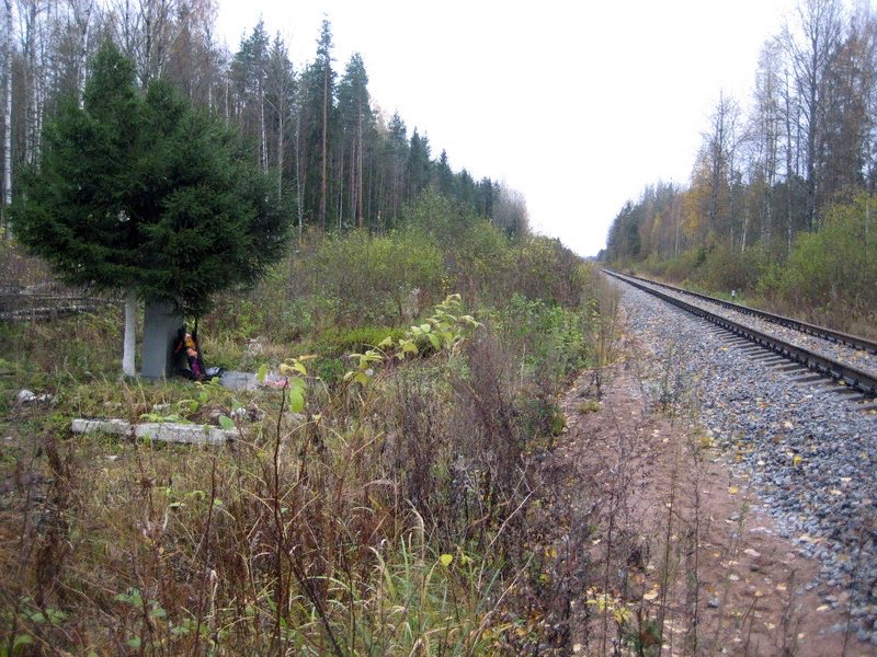photo-0