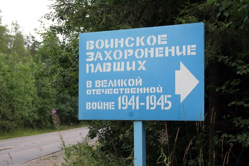 photo-3