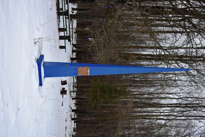 photo-7