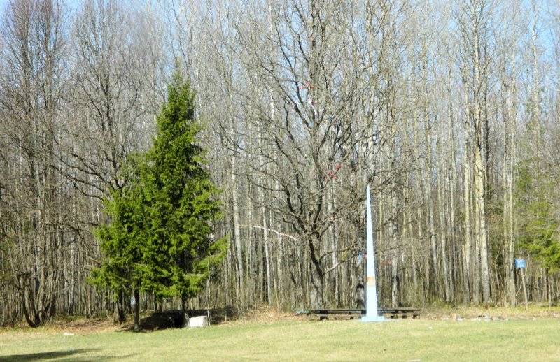 photo-3