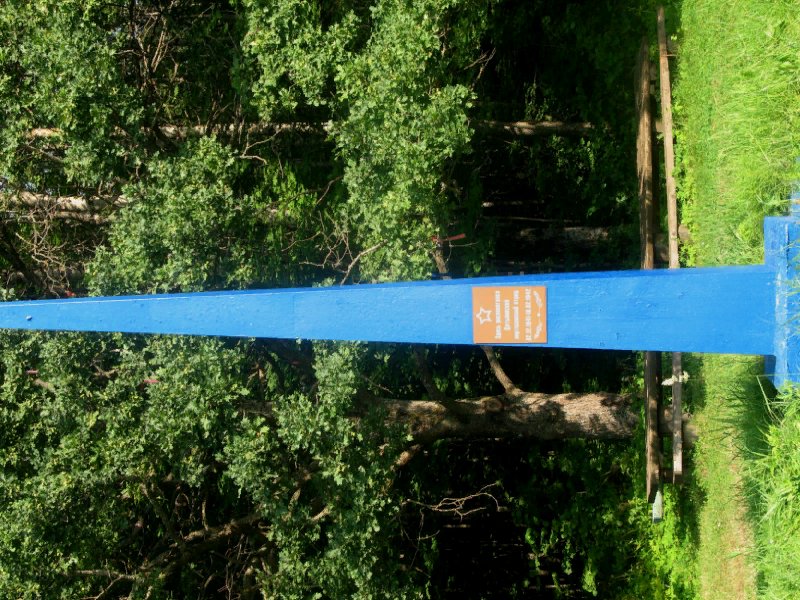 photo-5