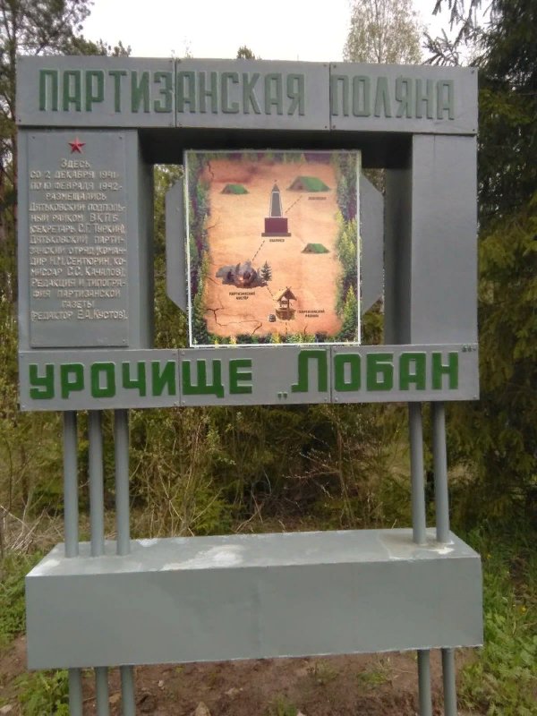 photo-6