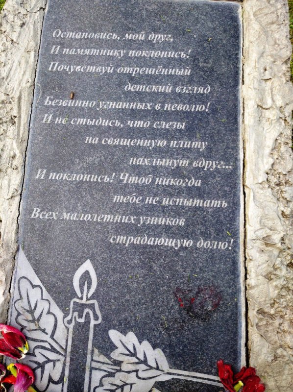 photo-1