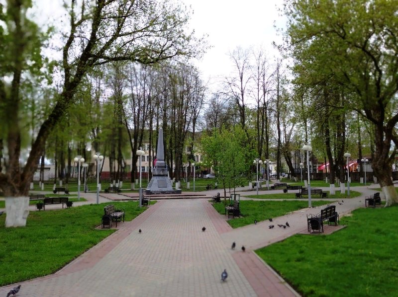 photo-6