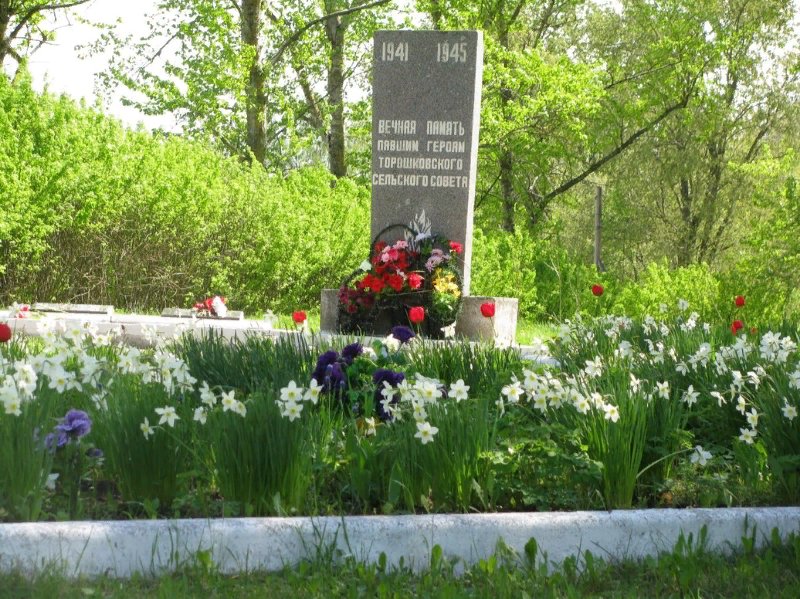 photo-1