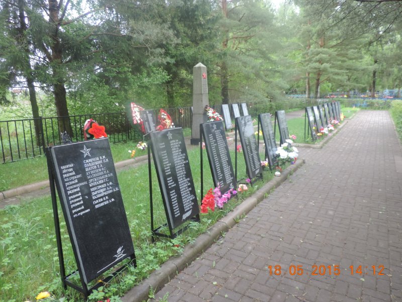 photo-3