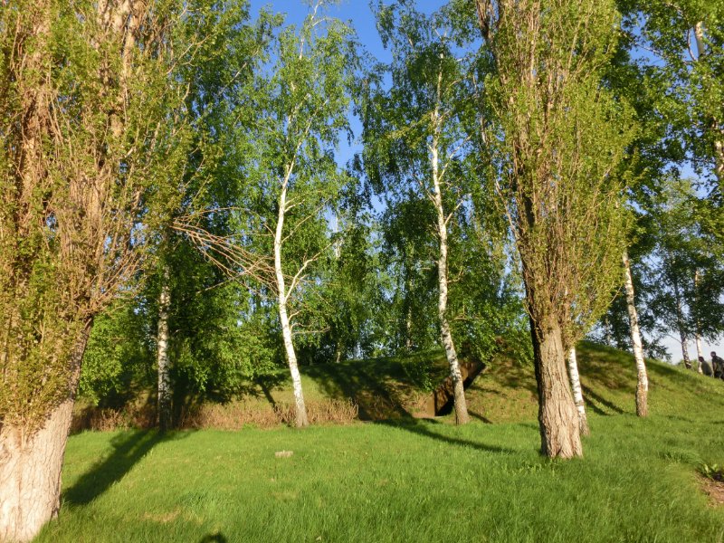 photo-2