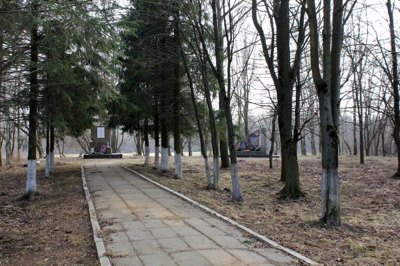 photo-3