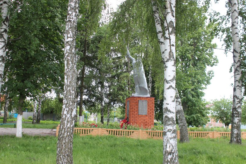 photo-7