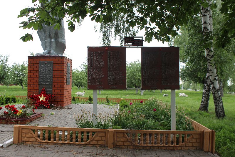 photo-1