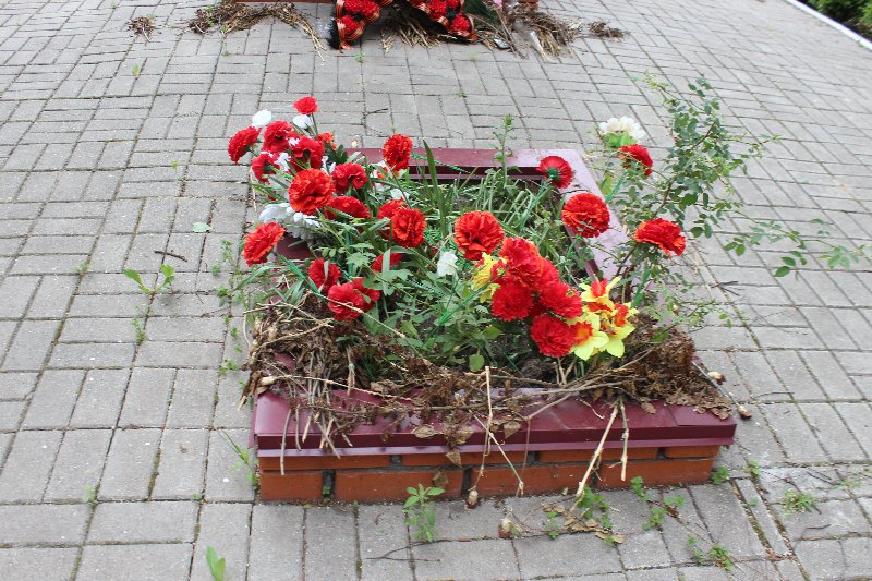 photo-6