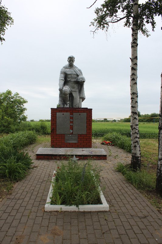 photo-1