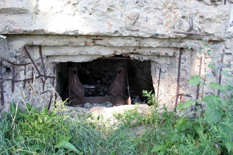 photo-1