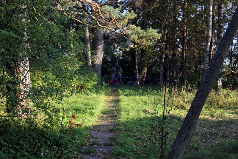 photo-1
