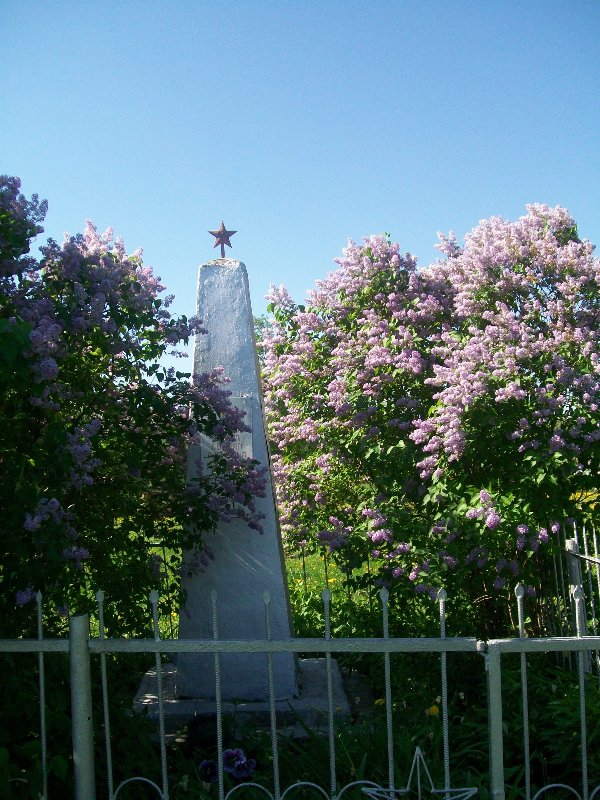 photo-0
