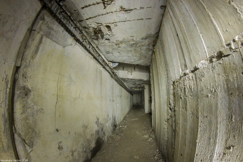 photo-1