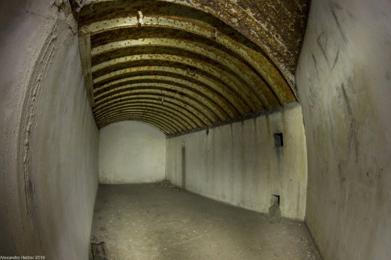 photo-2