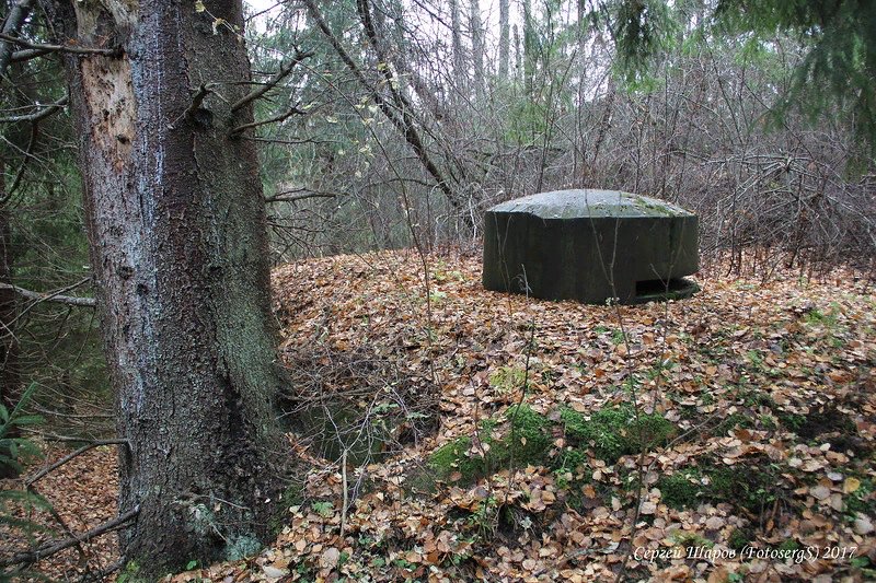 photo-4