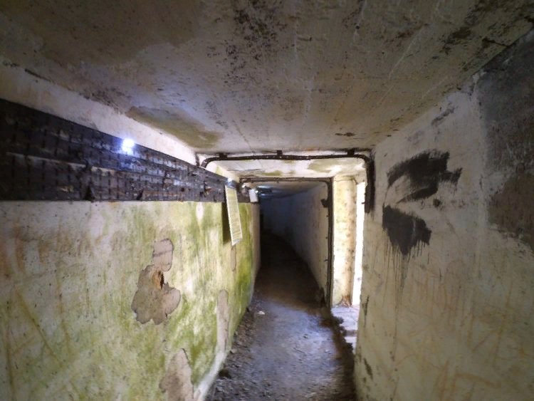 photo-11