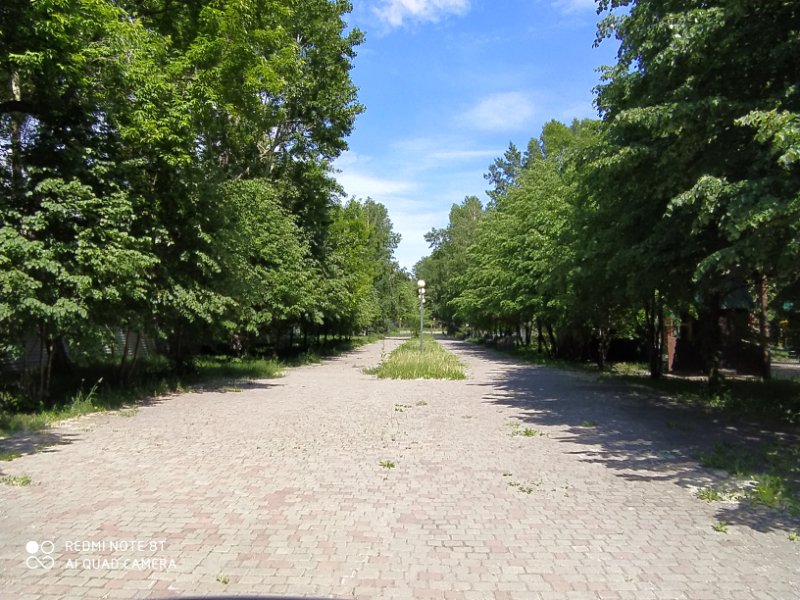 photo-2