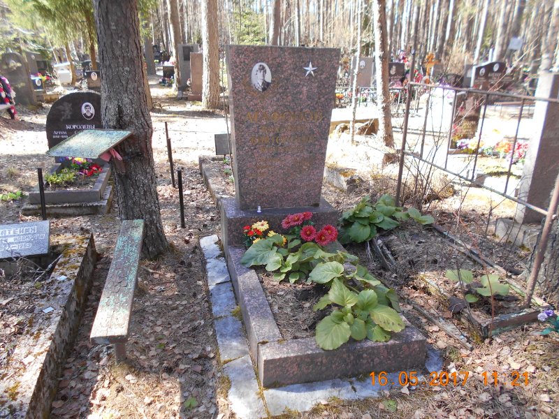photo-1