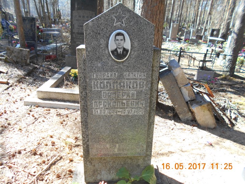 photo-1