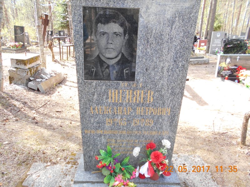 photo-1