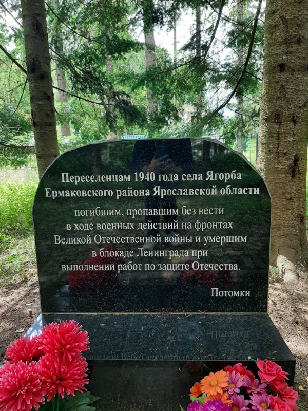 photo-8