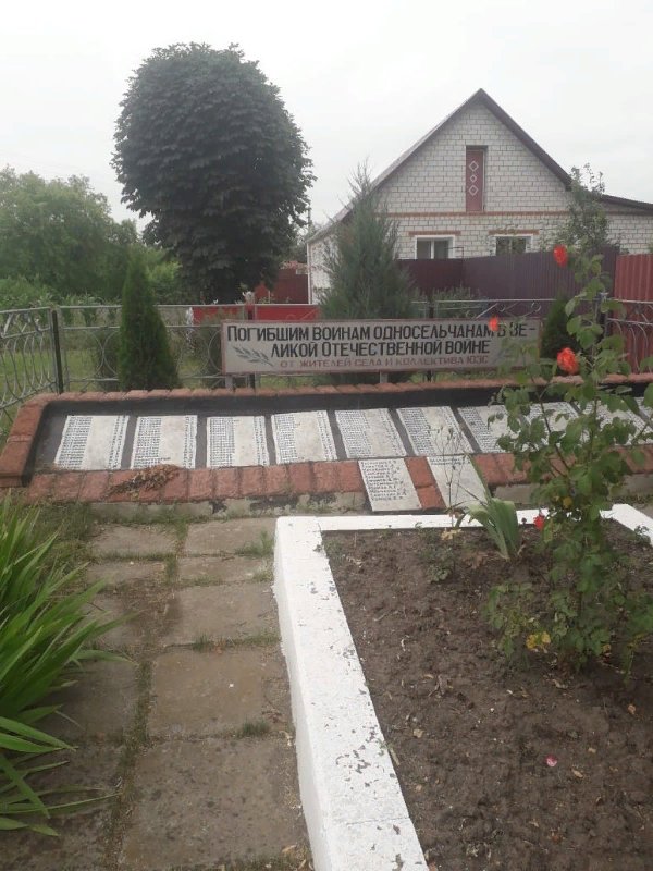 photo-1