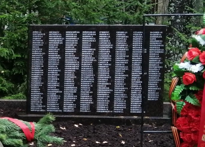 photo-1