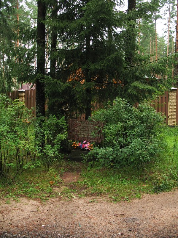 photo-1