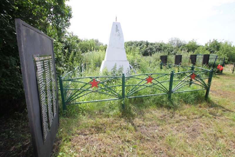 photo-3