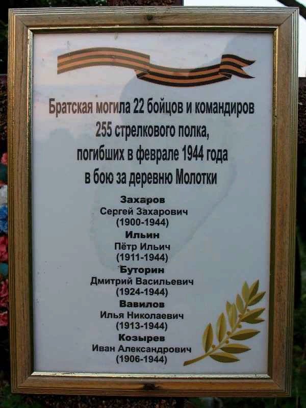 photo-3