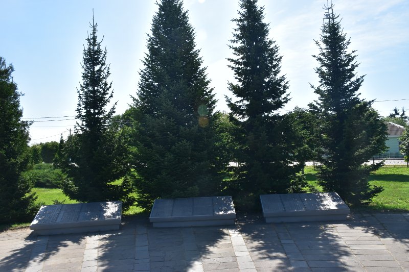 photo-3