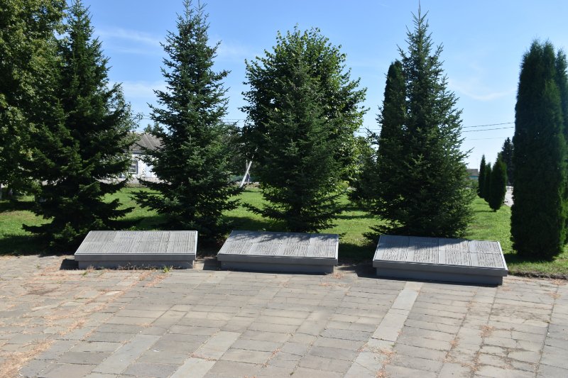 photo-4